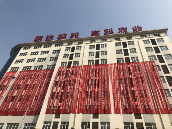 实业投资助力乡村振兴 陕西首家工厂化双孢蘑菇生产线在勉县投产